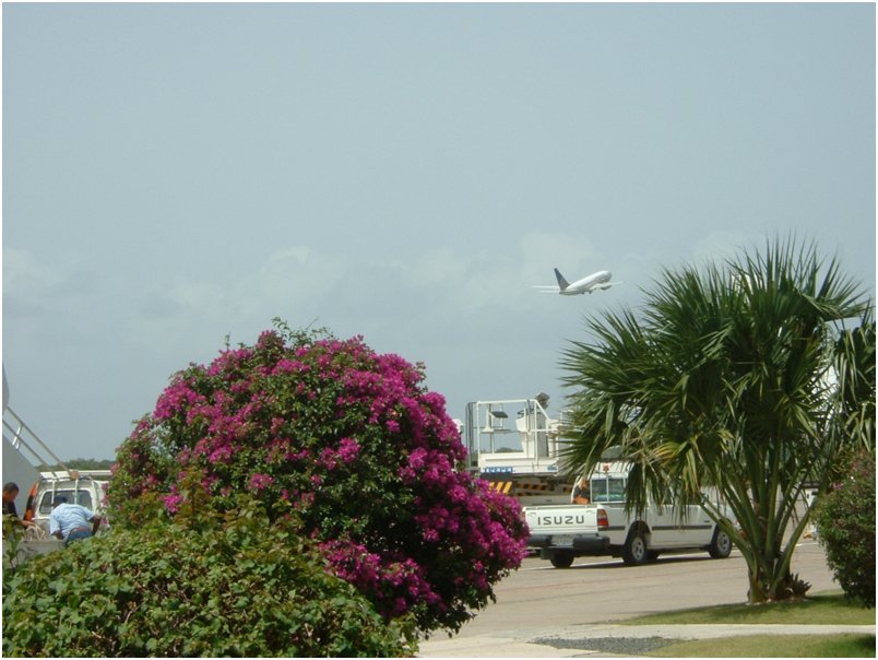 Flight2 (11)